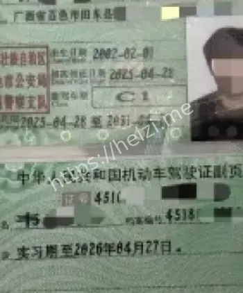 假驾驶证露馅细节