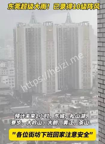 东莞雷雨大风
