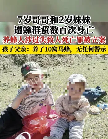 云南兄妹被胡蜂蜇伤身亡